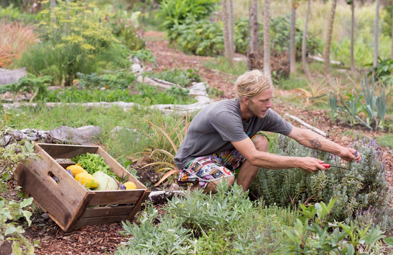 Lumeria Maui, Educational Retreat Center Makawao Ngoại thất bức ảnh
