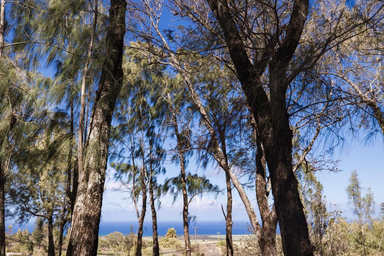 Lumeria Maui, Educational Retreat Center Makawao Ngoại thất bức ảnh